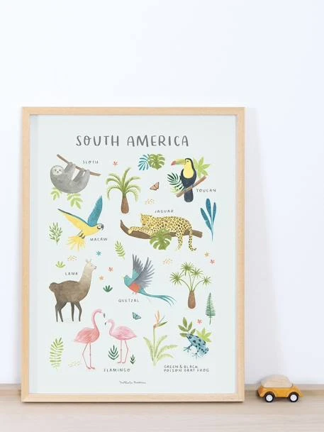 Affiche Animaux D'Amérique Du Sud Living Earth LILIPINSO Multicolore - Lilipinso 4 Affiche Animaux D'Amérique Du Sud Living Earth LILIPINSO Multicolore - Lilipinso – Image 2
