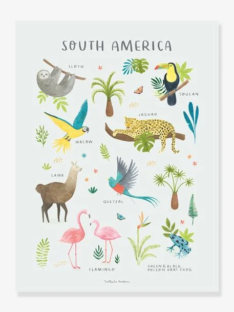 Affiche Animaux D'Amérique Du Sud Living Earth LILIPINSO Multicolore - Lilipinso 3 Affiche Animaux D'Amérique Du Sud Living Earth LILIPINSO Multicolore - Lilipinso