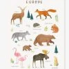 Affiche Animaux D'Europe Living Earth LILIPINSO Marron - Lilipinso