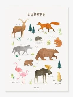 Affiche Animaux D'Europe Living Earth LILIPINSO Marron - Lilipinso