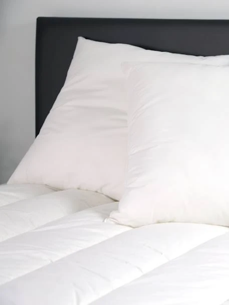 Oreiller Moelleux Coton Bio 60x60 Cm DODO Blanc - Dodo 4 Oreiller Moelleux Coton Bio 60x60 Cm DODO Blanc - Dodo – Image 2